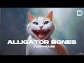 Ratman  bobbin  alligator bones tech house