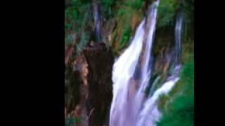 Five Aka Women Yodeling (yelli), Aka Peoples of the Forest