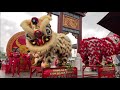 2021 Lion Dance Barongsai at Pantjoran PIK Jakarta Indonesia