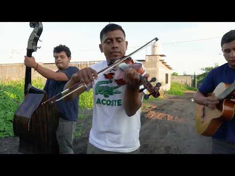 Huapango con tololoche, violín y guitarra Negro Manríquez y su imperio