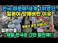 (일본반응) 한국 때문에 세계 1위의 일본이 망해버린 이유 “제발 한국은 그만 발전해!”