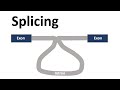 Understanding Structured Sequences and Interactions