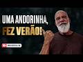 Deus ia destruir tudo, mas achou uma única "andorinha" | PENSE#3624