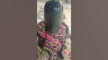 Mahakal status😚Bholenath status🙏Mahadev status🏵️#shorts  #2024status #youtubeshorts #2025status #yt