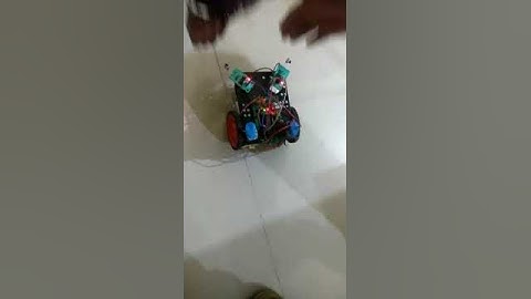 Object following robot