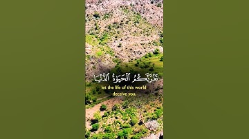 تلاوة خاشعة بصوت يريح القلب #elmulquranعلم #قران_كريم #تلاوة #المصحف #اكسبلور #trend #لايك