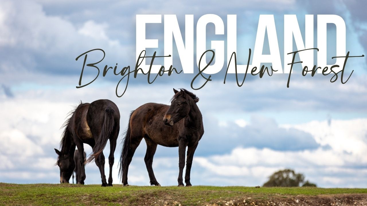 Wilde Pferde, Mammutbäume und quietschebuntes Brighton | England Roadtrip mit dem Campervan Pt02