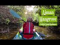 The Ajman Mangrove, the UAE Amazon experience