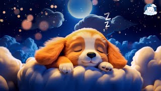 Frequency of Happiness: Music to Release Serotonin, Dopamine and Endorphins - Relaxing Music screenshot 5