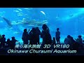 美ら海水族館 3D(VR180) Churaumi Aquarium,Okinawa,Japan