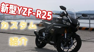 【新型YZF-R25】カスタム紹介から始まるモトブログ！【モトブログ】