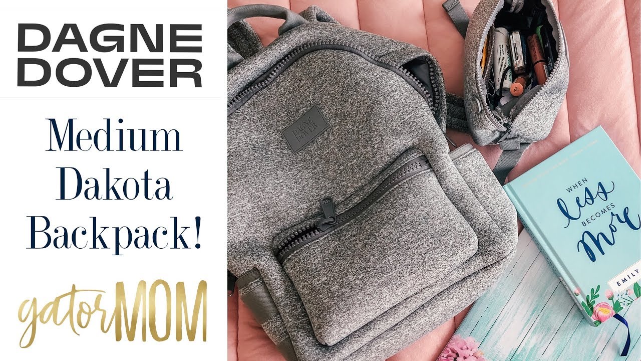 Dagne Dover Dakota Backpack Review: a Great Bag for Work