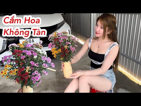 Mẹo Cắm Hoa