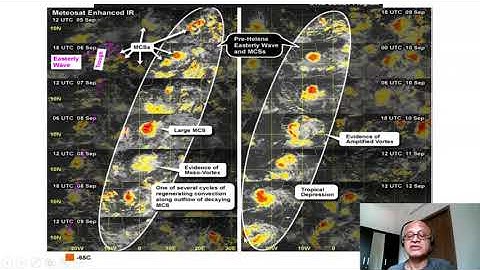 4    African Easterly Waves