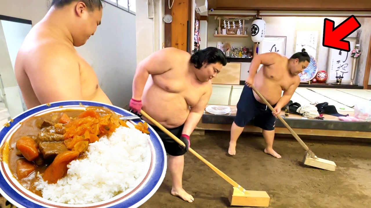 Разборка и Восстановление Дохё (Ринг Сумо) перед Карри Райс 🍛