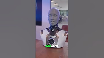 Do AI Robots Deserve Rights - The Future