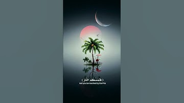 #سورة_هود || فاستقم كما أمرت ومن تاب معك ولا تطغوا || #المصحف #اكسبلور