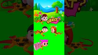 Tool Items New Gadgets, Smart Appliances, Kithen Utensils, Home Inventions Ep-113