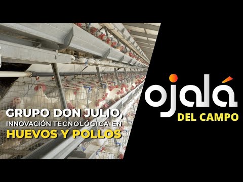 |Ojalá del Campo| Grupo Don Julio, innovación tecnológica en huevos y pollos