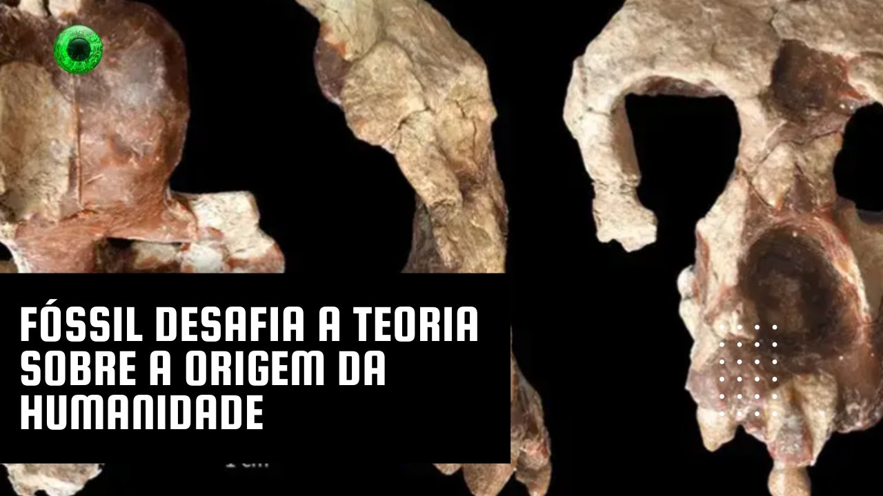 Fóssil desafia a teoria sobre a origem da humanidade