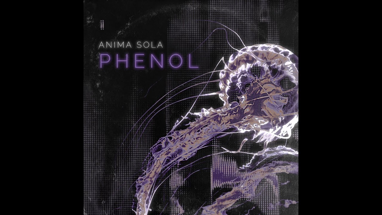 Anima Sola - Rainfall