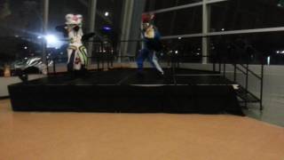 Furry Dance Battle at Zipcon 2017