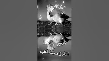 سورة العاديات القارئ محمد الفقيه #قران_كريم #ارح_قلبك
