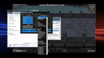 Metin2 Swichbot 2012