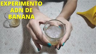 Cómo extraer el ADN de una banana (experimento)🧬