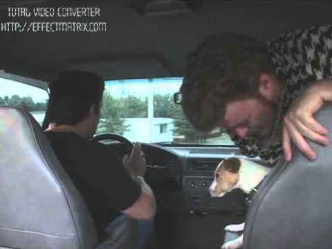 Trailer Park Boys The Best of Ricky Season 1