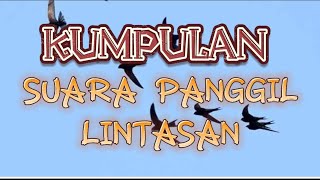 KUMPULAN SP LINTASAN