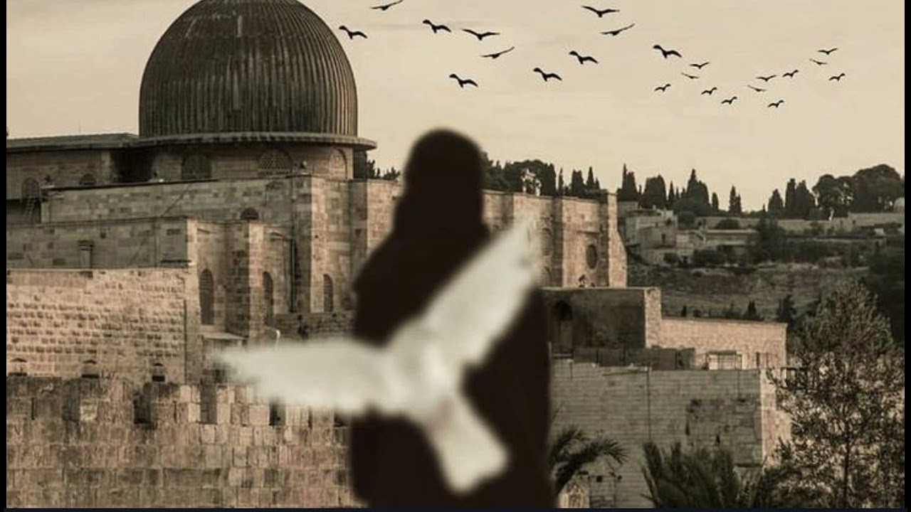 سلام يا مهدي / بطيء ، احمد الفتلاوي