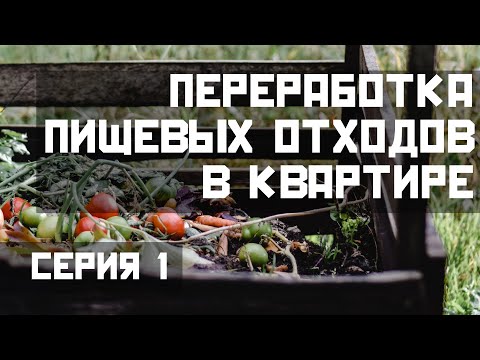 Переработка пищевых отходов в квартире. Серия 1