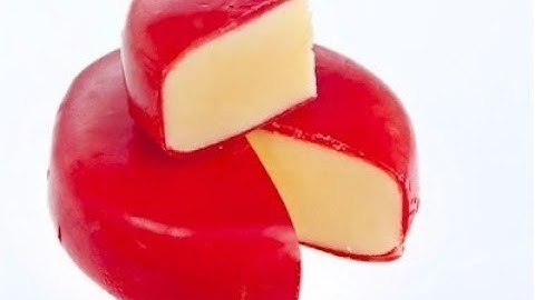 CSE 120 Final Project