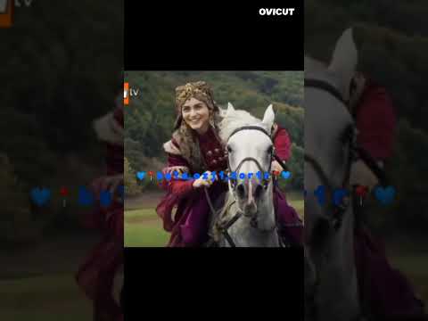 اغنية الشاميييييي على سباق بالااا وعثمااااان  وييييين