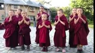 Junior Nirvanik Lamas chanting a Mantra