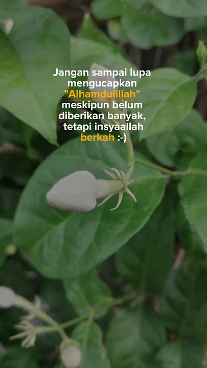#bismillah #alhamdulillah #doa #capcut #shortvideo #beranda #berkah