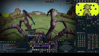 Runescape 3 - Reaper Task 32 | Araxxi