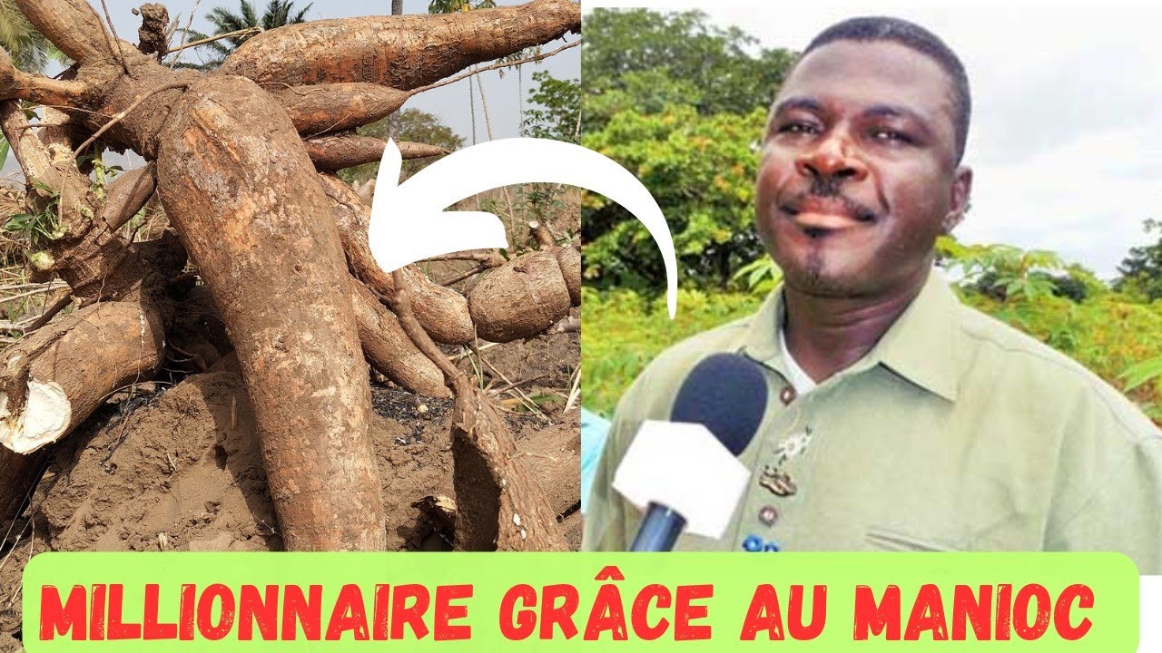 Burkina Faso : il gagne des millions grâce à la culture du manioc