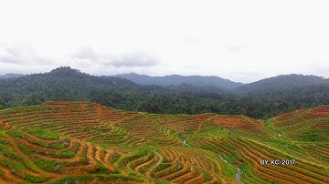 DJI Phantom 3 standard range test with Hwayaotek booster without signal lost