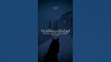 عيناً فيها تسمى سلسبيلاً || محمد اللحيدان _سورة الإنسان