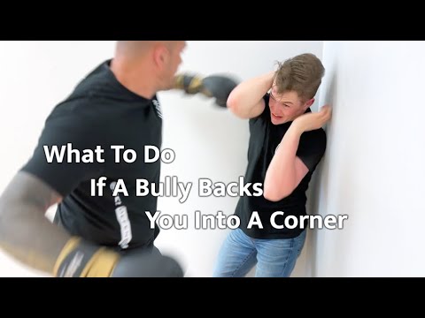Self Defense When You're Backed Into A Corner by a Bully