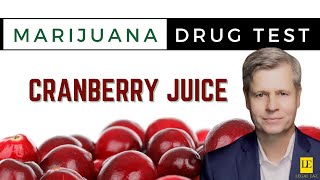 PASS A DRUG TEST WITH CRANBERRY JUICE | Experts say YES!