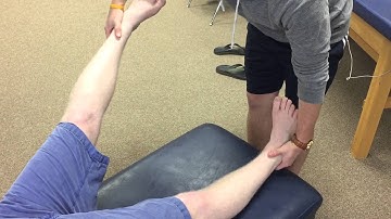 Tensor Fasciae Latae muscle test for internal and external hip rotation