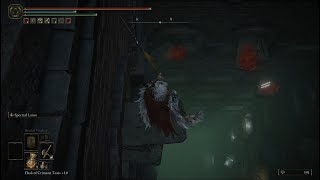 Elden Ring Cathedral of the Forsaken Jump Puzzle - Ideal Route