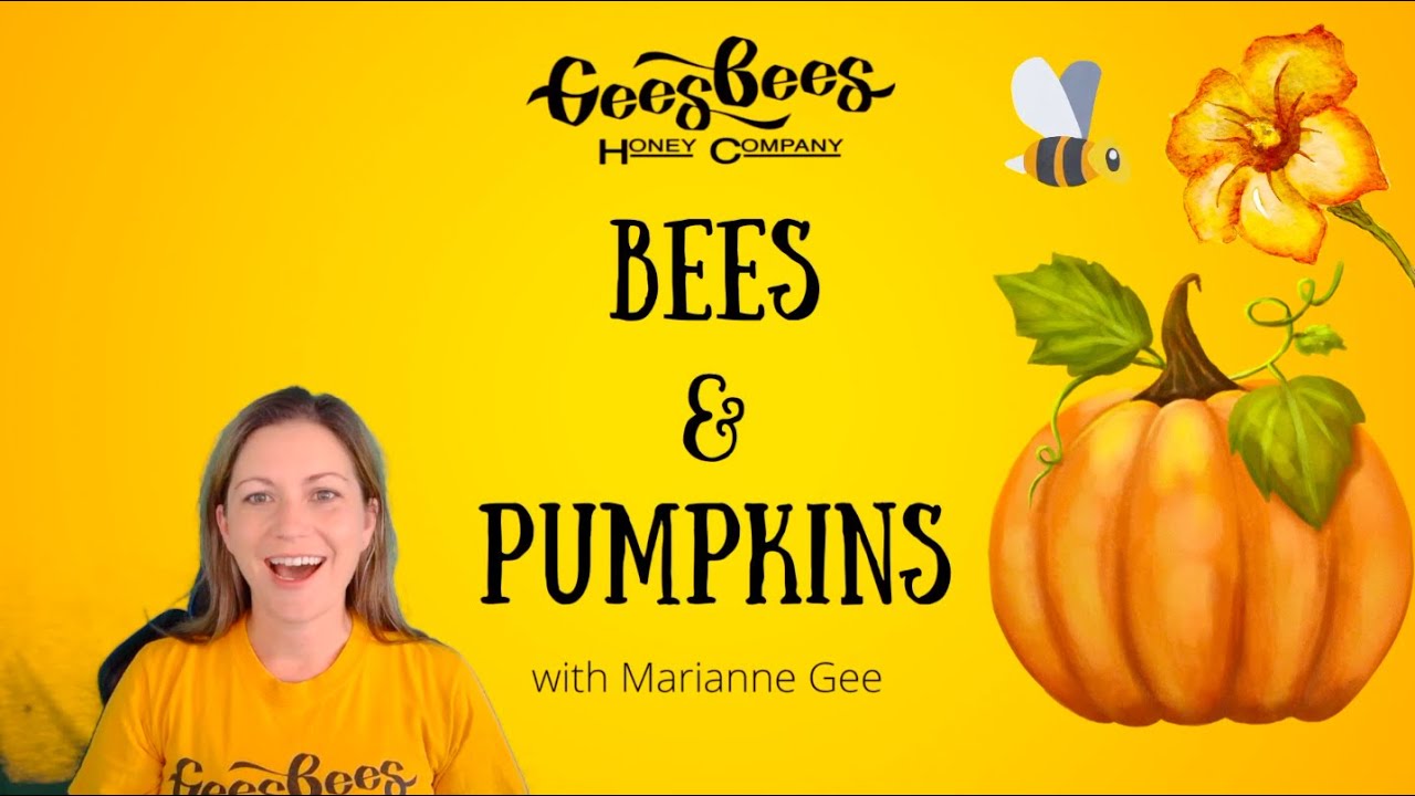 How Honeybees Pollinate Pumpkins YouTube