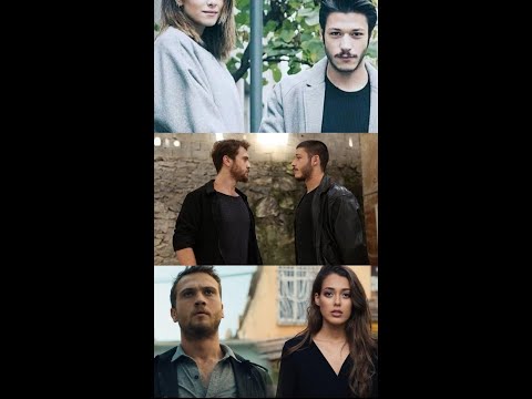 بالله عودي أمانة تعودي أيهما أكثر تأثيرا موت اكشين سنا الحفرة