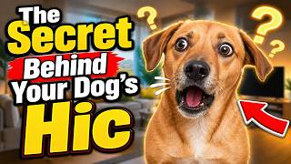 Why Do Dogs Hiccup? Is It Normal or Dangerous?🐶