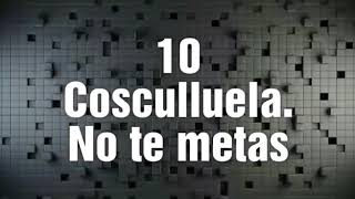 TOP 10 — Las Mejores Canciones De Cosculluela