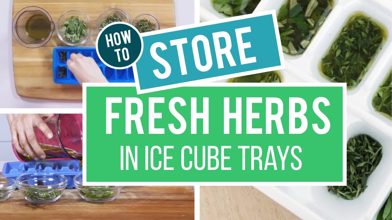 Real Food Live How to Store Fresh Herbs in an Ice Cube Tray YouTube